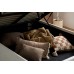 Maisey Ottoman Bed (White)